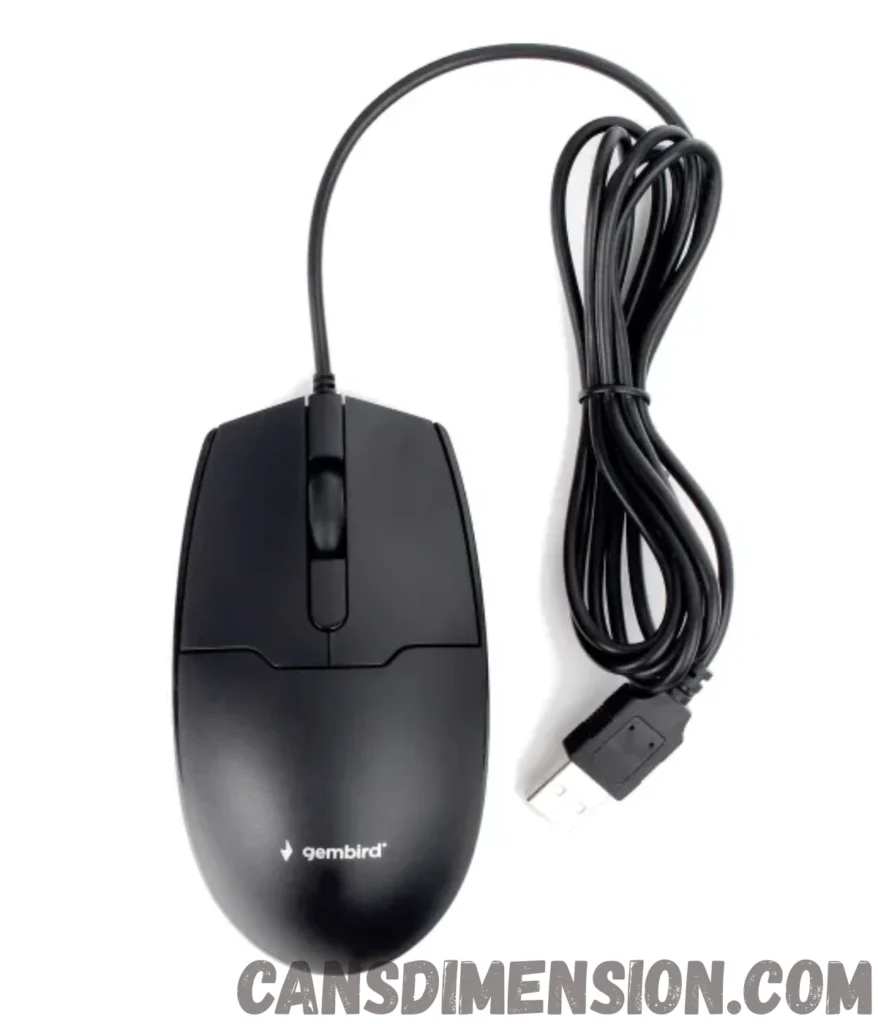 mouse-weigh-100-grams 