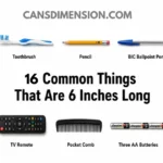 things-that-are-6-inches-long