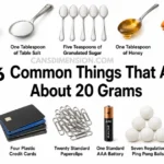 things-that-weigh-20-gram