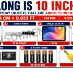 7 Common Things That Are 10 Inches Long-2026 7-common-things-that-are-10-inches-long