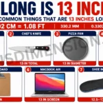 7 Common Things That Are 13 Inches Long-2026 7-common-things-that-are-13-inches-long