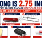 7 Common Things That Are 2.75 Inches Long-2026 7-common-things-that-are-2.75-inches-long