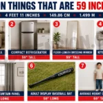 7 Common Things That Are 59 Inches Long-2026 7-common-things-that-are-59-inches-long