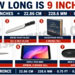 7-common-things-that-are-9-inches-long