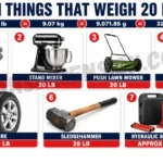 7-common-things-that-weigh-20-lbs