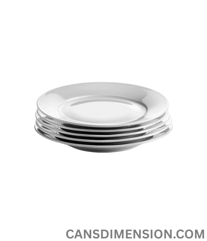 dinner-plate-10-inches-long