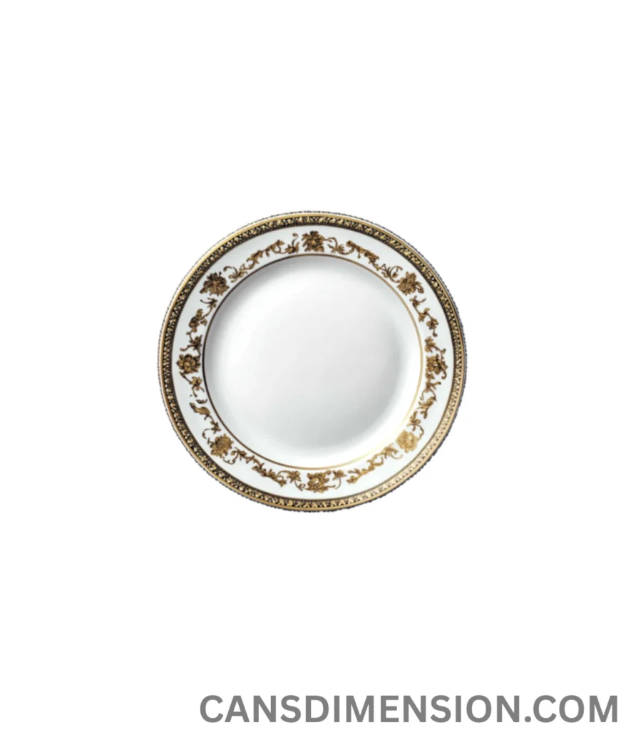 dinner-plate-11-inches-long