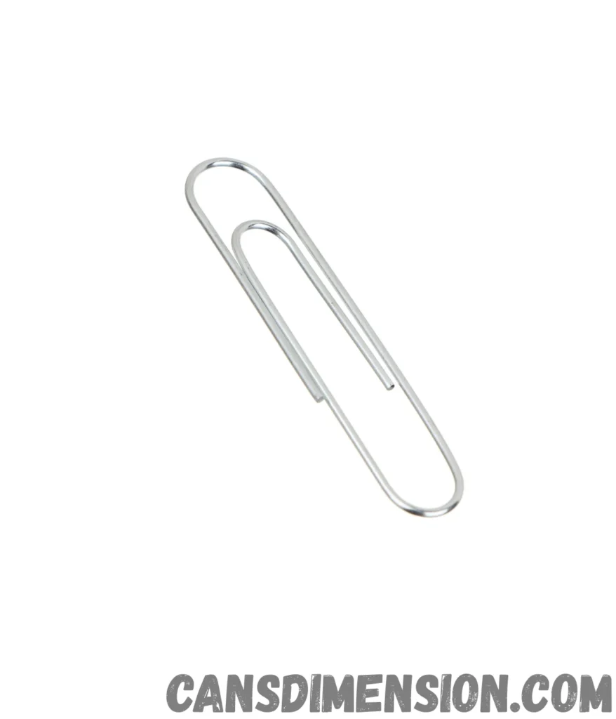 paperclip-1-inche-long