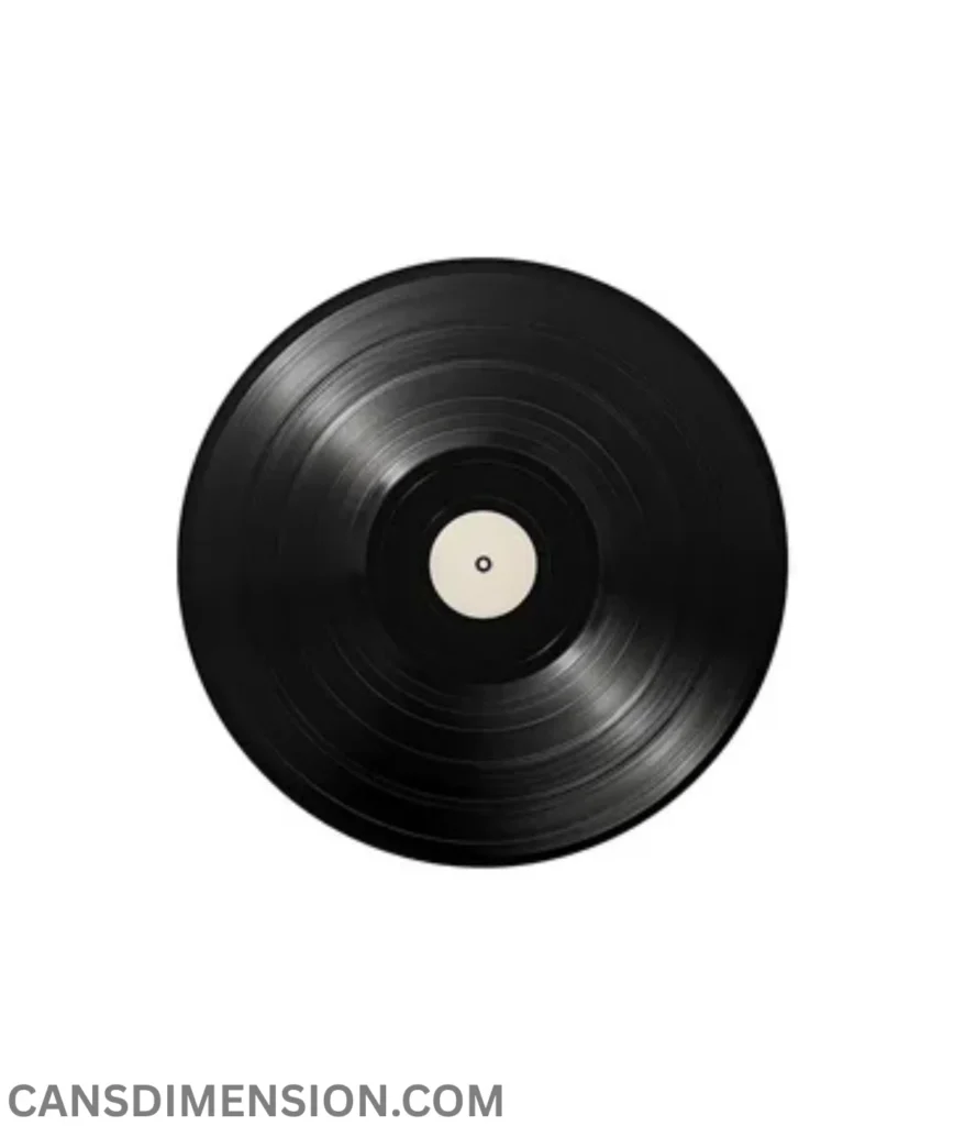 vinyl-record-30-cm-big
