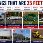 7-common-things-that-are-25-feet-long