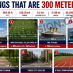 7-common-things-that-are-300-meters-long