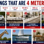 7-common-things-that-are-4-meters-long