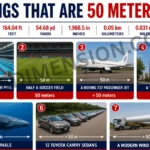 7-common-things-that-are-50-meters-long