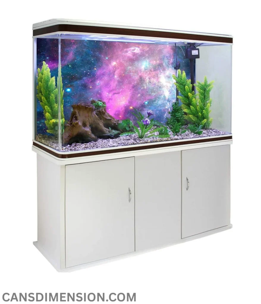standard-aquarium-are-2-feet-long