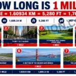 7-common-things-that-are-1-mile-long-2026
