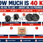 7-common-things-that-are-40-kg-2026