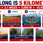 7-common-things-that-are-5-kilometer-long-2026